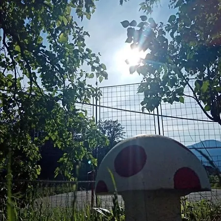 Oreol * Priboj