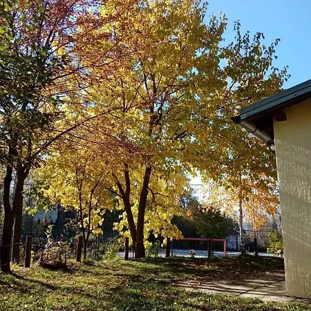 Oreol 아파트 Priboj