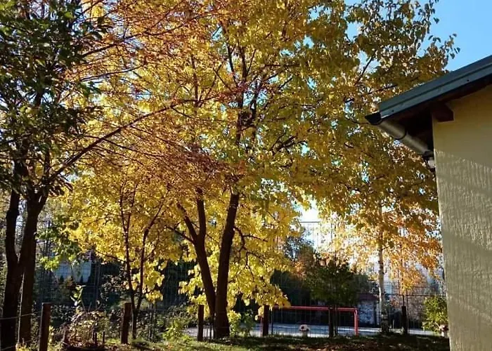 Oreol 아파트 Priboj